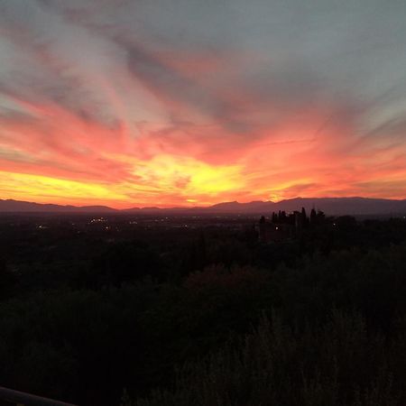 Villa Antico Borghetto Di Tigliano Vinci Eksteriør bilde