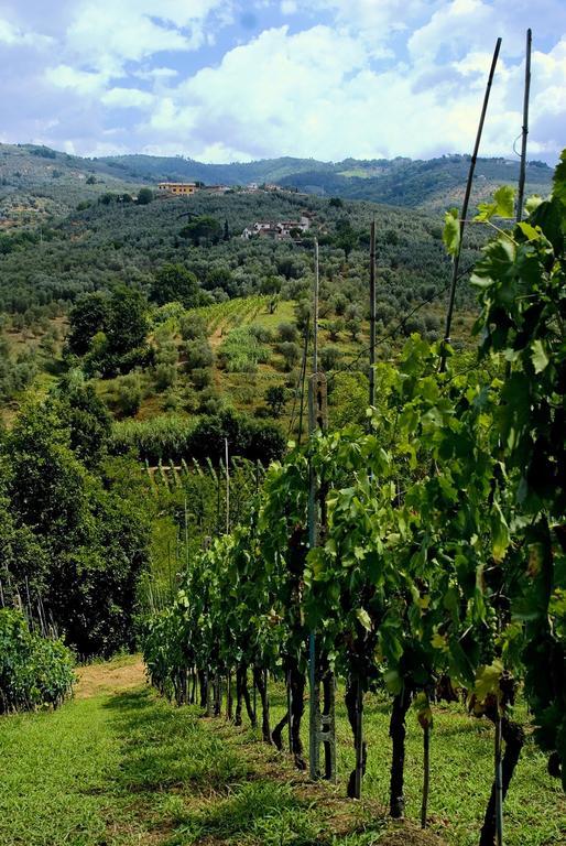 Villa Antico Borghetto Di Tigliano Vinci Eksteriør bilde