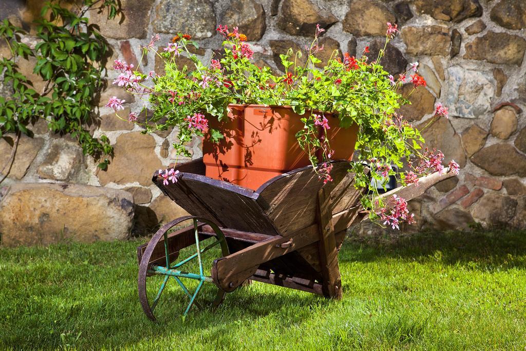Villa Antico Borghetto Di Tigliano Vinci Eksteriør bilde